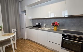 Inchiriere Studio Baneasa Bucuresti sector 1  curte privata, Aeroprort - Poză 8