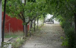 Teren la 35 km de Bucuresti - Izvorani - Ciolpani - Poză 15