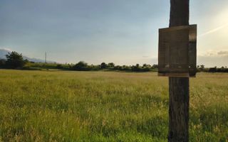 Teren extravilan de vânzare | Cârțișoara | 1800 mp - Poză 6