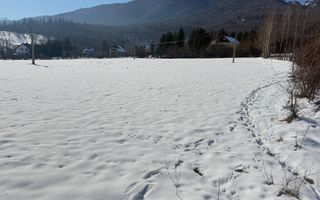 Teren Intravilan 1.500 mp | Vedere Panoramică| Tohanita - Poză 1