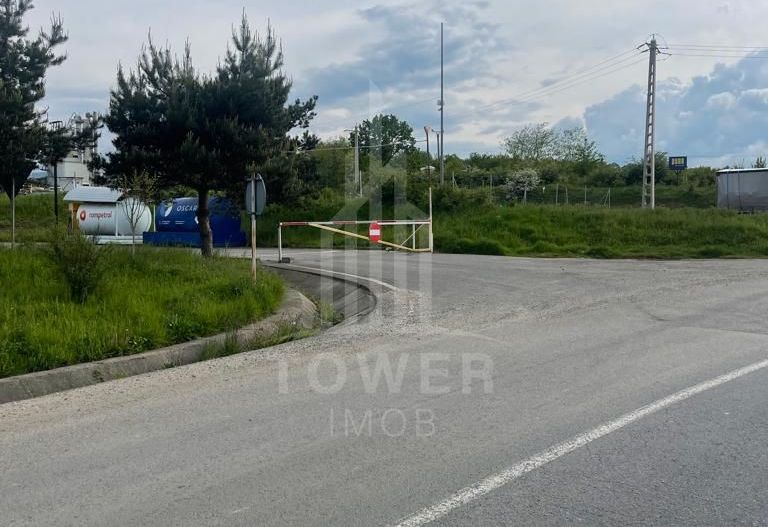 Teren intravilan 5984 mp - PARCUL INDUSTRIAL SELIMBAR - Poză 2
