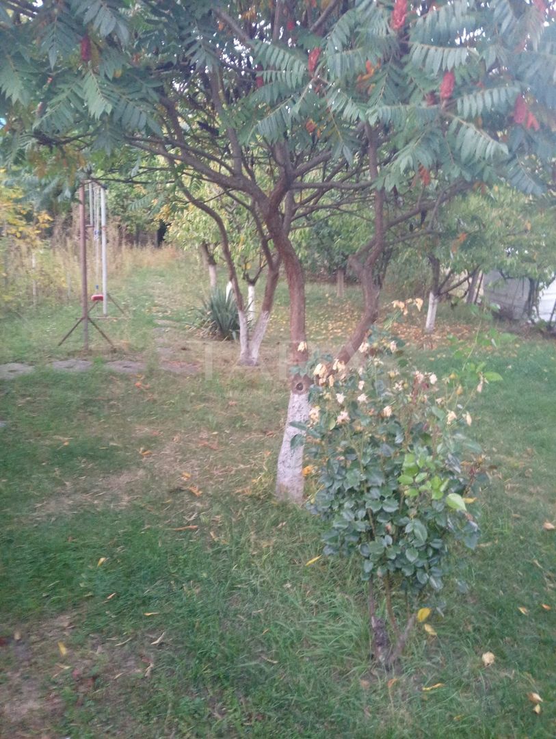 Apartament 4 camere cu gradina de închiriat – Dâmbul Rotund, zona Lidl - Poză 15