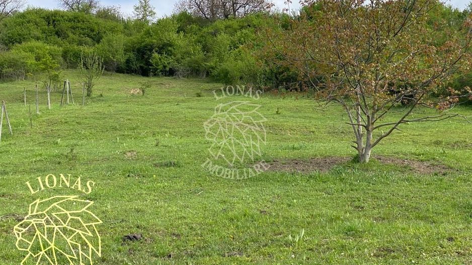 Teren 5000 mp-ideal investitie-Ghinda - Poză 5