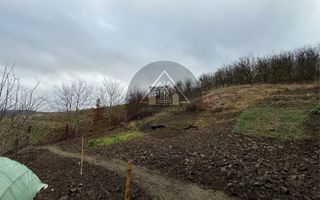 Casa 3 camere, Medias - Poză 18