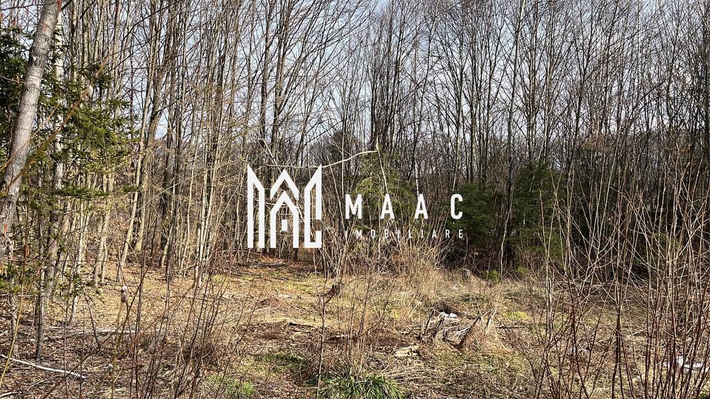 Teren 744 mp I Intravilan I Valea Avrigului - Poză 3