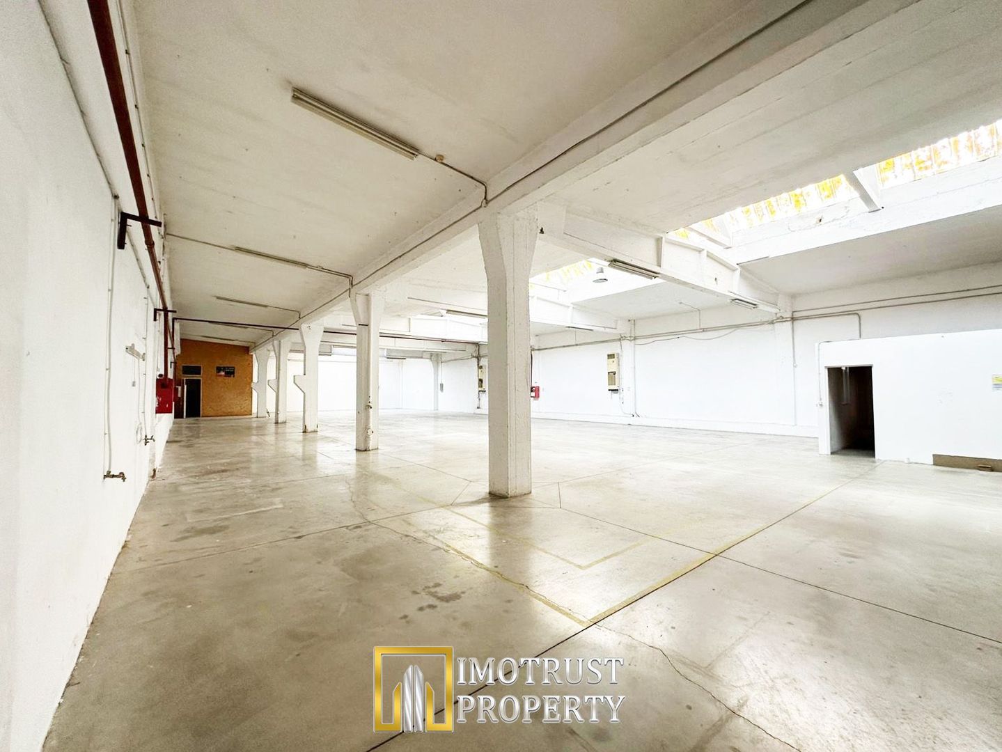 Hala industriala 675 mp, Arad central, acces TIR ideal depozit logitic - Poză 3
