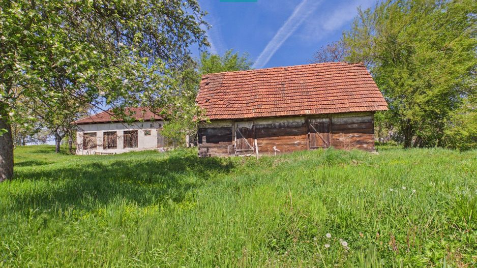 Proprietate rară cu 24.270 mp, în Măgulicea, Arad! - Poză 37