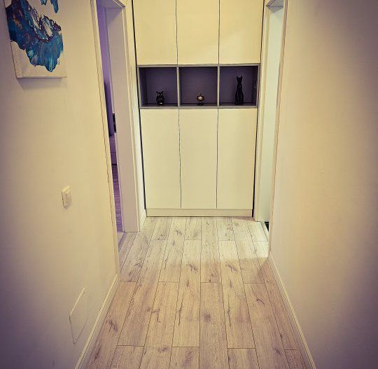 Apartament 3 camere Herastrau parc - Poză 9