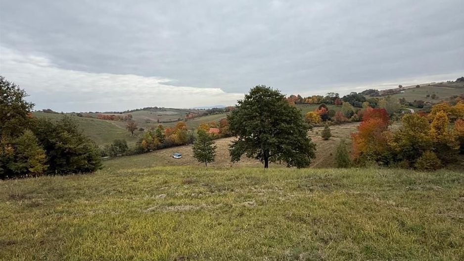 Teren intravilan 17,265 mp in Tomnatic comuna Vadu Crisului - Poză 2