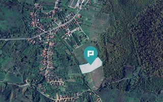 Teren fâneaţă lângă pădure - Hunedoara - Poză 2