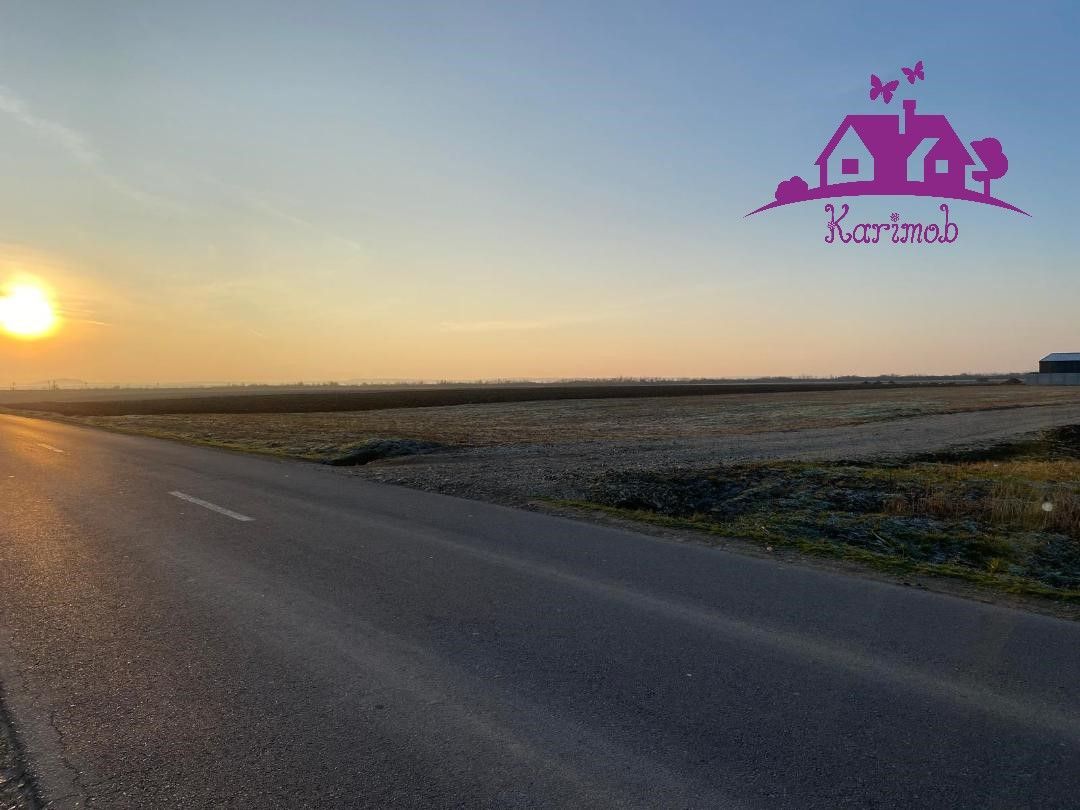 Parcele de teren industrial pentru diferite activitati economice - Poză 5