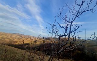 Oaza de liniste si frumusete, reconectare cu natura, 16.000 mp, Poiana Marului - Poză 17