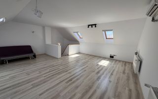 Vila Volutari 5 Camere Matei Millo - Poză 20