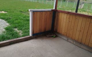 Grădină 862 mp cu cabanuta și pomi fructiferi – între Tălmaciu și Sadu - Poză 10