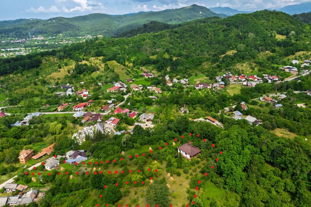 Casa moderna si casa bunicii + 6300 mp teren,Oaza autentica in Corbi Arges- - Poză 2