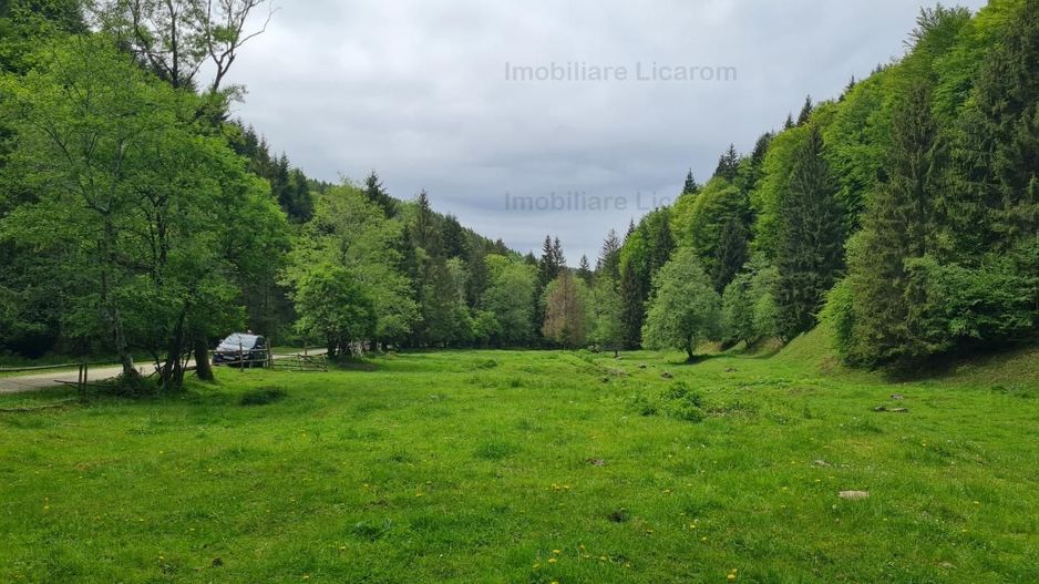 13005 mp teren faneata in Bran Simon cu fornt de 57 mp - Poză 7