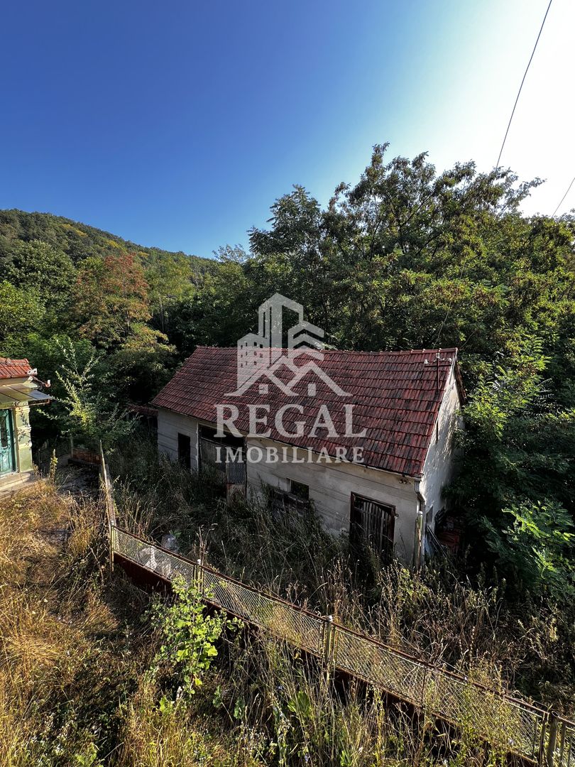 Două case cu teren de 36.291 mp, în Dealul Mic - Poză 14