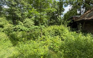 Teren intravilan 683 mp deschidere la strada asfaltata ! - Poză 2