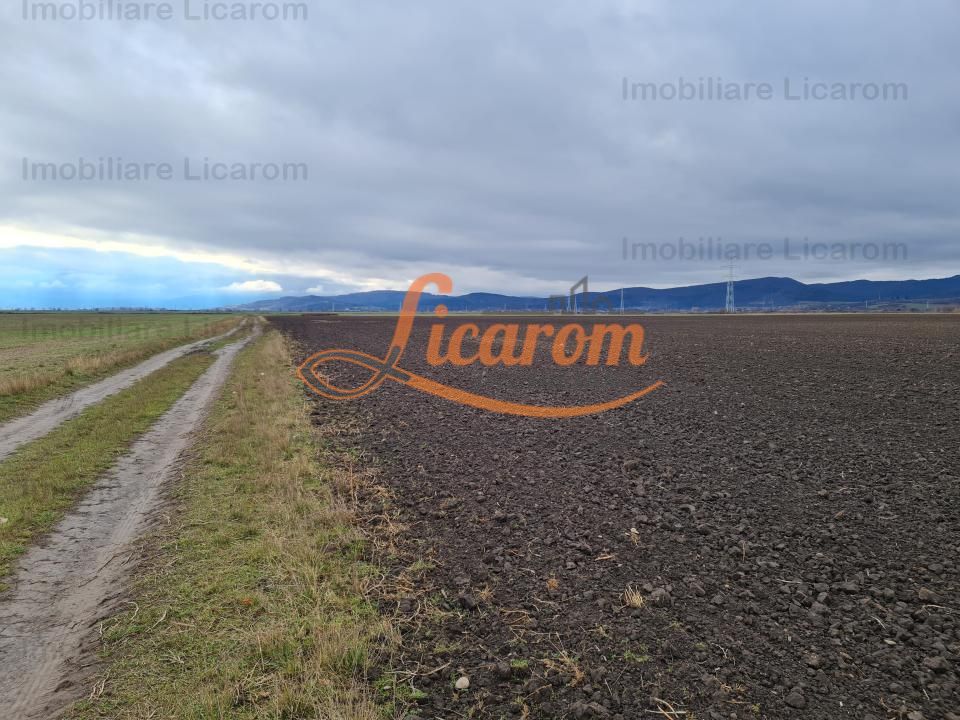 Teren extravilan 2,9 HA,intre Cristian si Vulcan - Poză 6