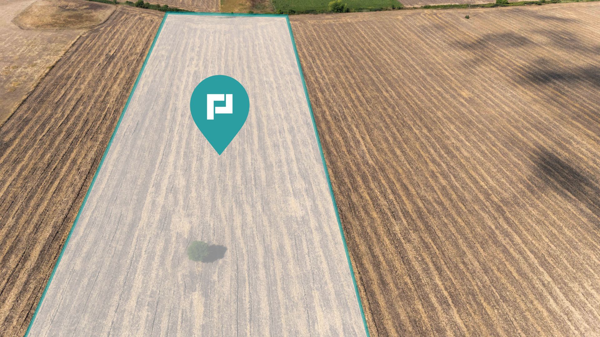 Oportunitate! Teren 4.345 mp – Şagului - Poză 5