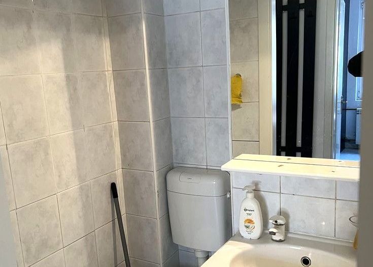 Apartament de inchiriat | 6 camere | Cismigiu - Poză 6