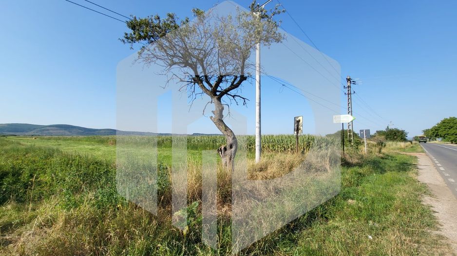 Teren in Orlat | Deschidere la Drum Judetean | 25Euro mp - Poză 3