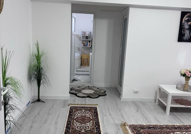 Apartament Stefan cel mare/Parcul Circului - Poză 1