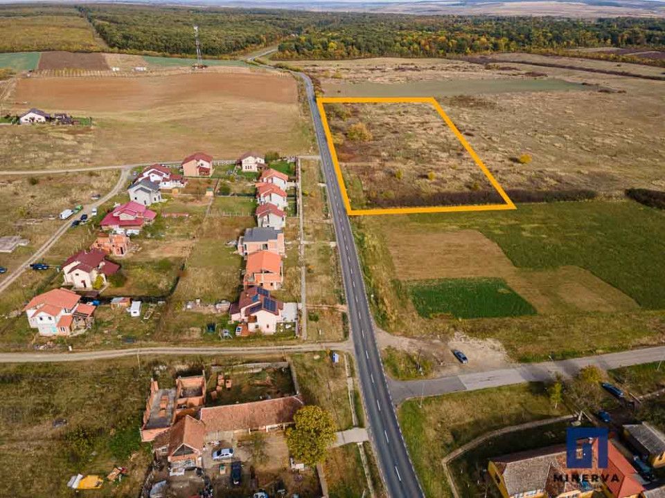 Teren pentru parcelare, 19000 mp, Pișchia, comision 0 - Poză 7