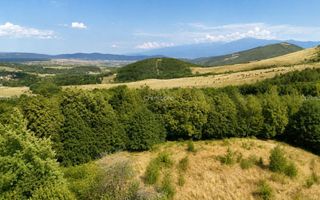Teren intravilan 2.938 mp | Tocile, Sadu | pârâu natural - Poză 6