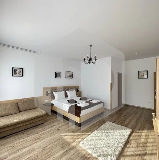 Pensiune de vanzare | Paltinis | 330mpu | 8 Camere | Functionala 100% - Poză 5