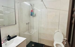 Apartament cu o cameră de închiriat, Tătărași, Iași - Poză 8