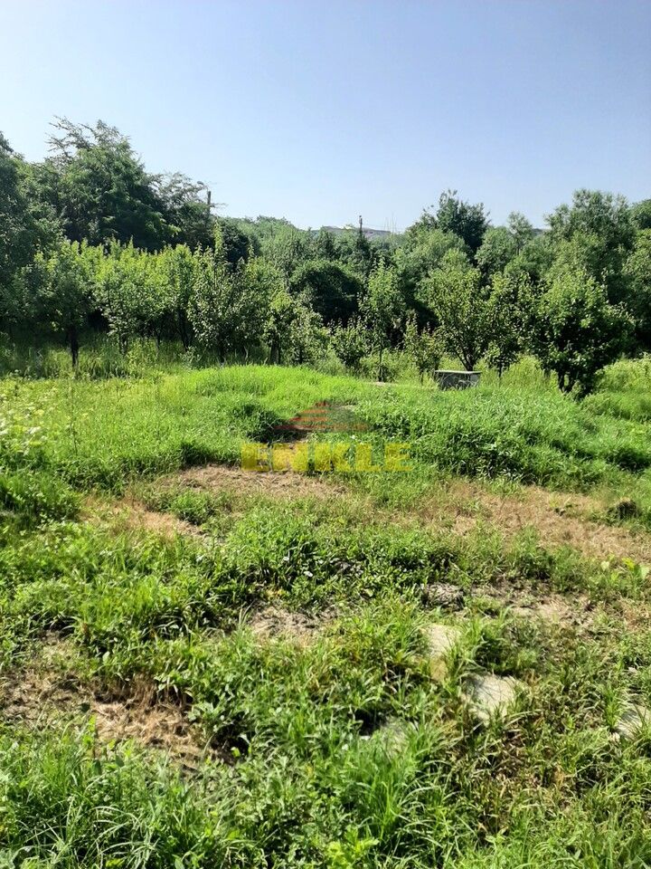 Casa 3 camere + dependinte (bucatarie de vara/magazie) + teren 1400 mp, Str.Zimbrului - Poză 1