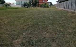 Teren intravilan | 750 mp | Rudicica - Poză 1