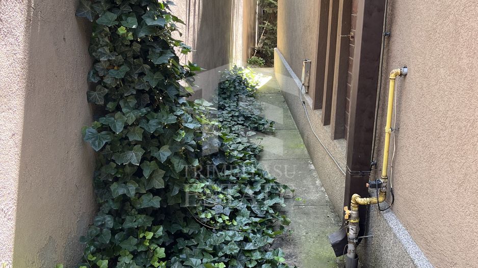 ANDRONACHE | Vila 4 Camere | Garaj  | Curte Verde | Ciubar & BBQ - Poză 28