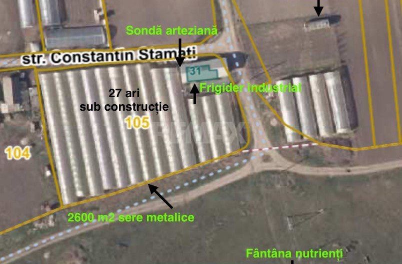 Proprietate cu casă, teren, sere și sistem de irigare – 15 min de Orhei - Poză 4