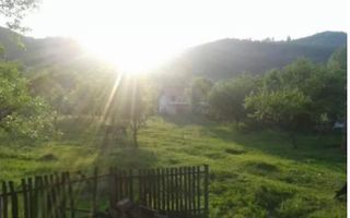 CASA 3 CAMERE, TEREN 2400 MP, VULTURESTI, ARGES - Poză 4