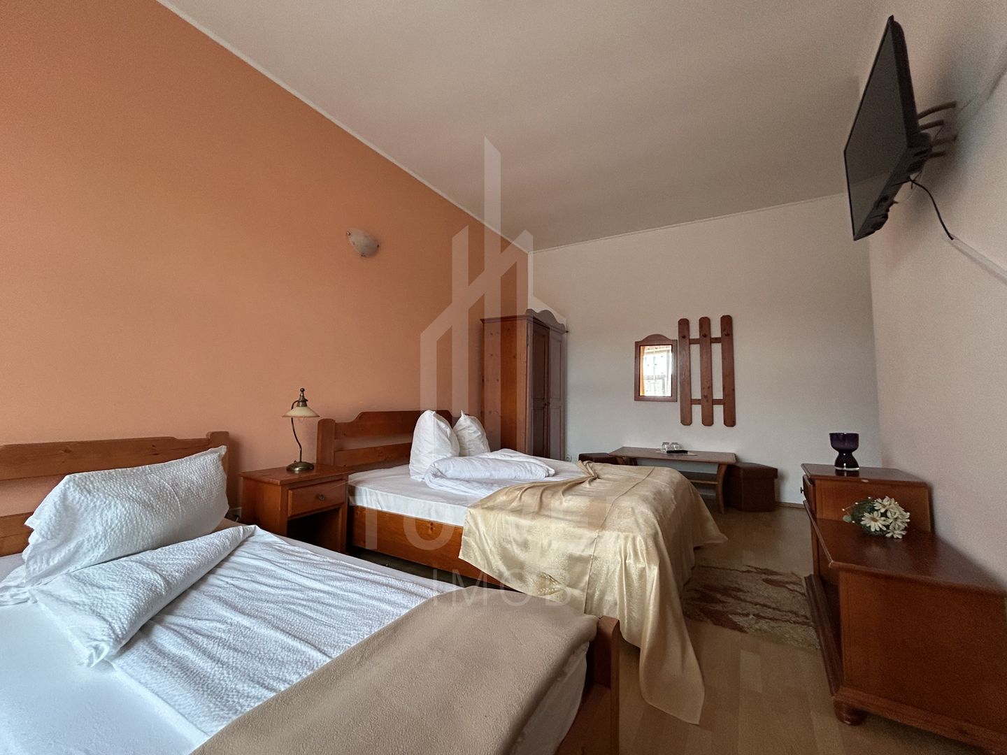 Pensiunea Polyana – business la cheie în inima stațiunii balneoclimaterice Bazna - Poză 16