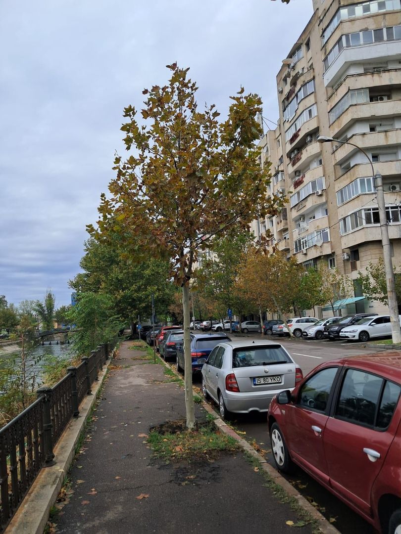 De inchiriat apartament cu 2 camere , Timpuri Noi sector3 - Poză 13