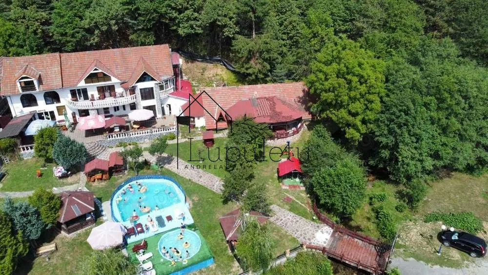 Pensiune de vânzare | 400 MPU | 10 Camere | Rasinari - Curmatura - Poză 5