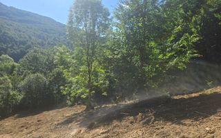 Teren Valea Doftanei,  zona Pe Vale - Baraj Paltinu - Poză 2