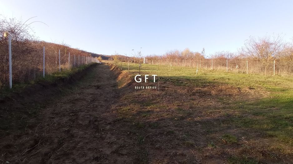 Teren Viisoara 27 ari - Poză 7