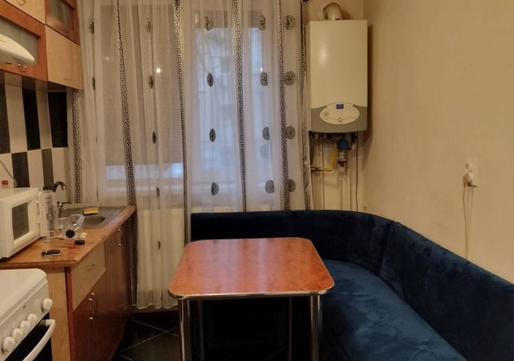 Apartament 2 camere George Enescu - parter - Poză 5