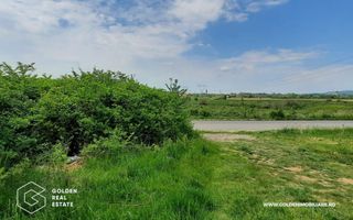 Teren intravilan 2880 mp, DJ 572 Lipova - Poză 4