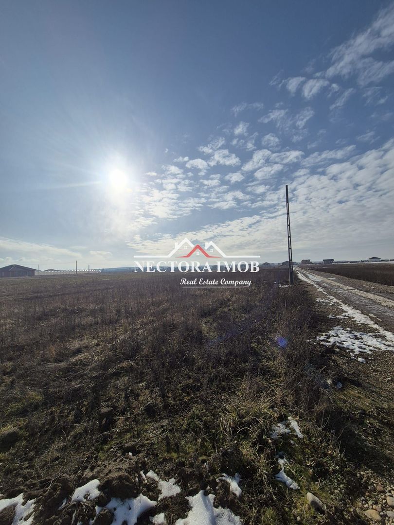 NECTORA IMOB-Teren Intravilan, 500 mp, Front 20ml,Zona CIHEI,Utilitati - Poză 3