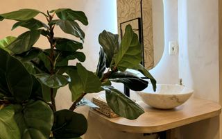 Spatiu comercial de închiriat, Brasov - 108 mp # spatii-comerciale-brasov.ro - Poză 4