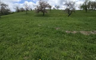 Teren 2,4 Ha cu utilități-Oportunitate Investitie-Herina - Poză 2
