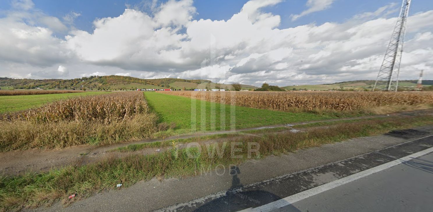 Teren intravilan 4000 mp Cristian DN 1 - Poză 1