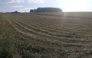 Teren extravilan de vânzare în Vânători, comuna Popricani - Poză 4