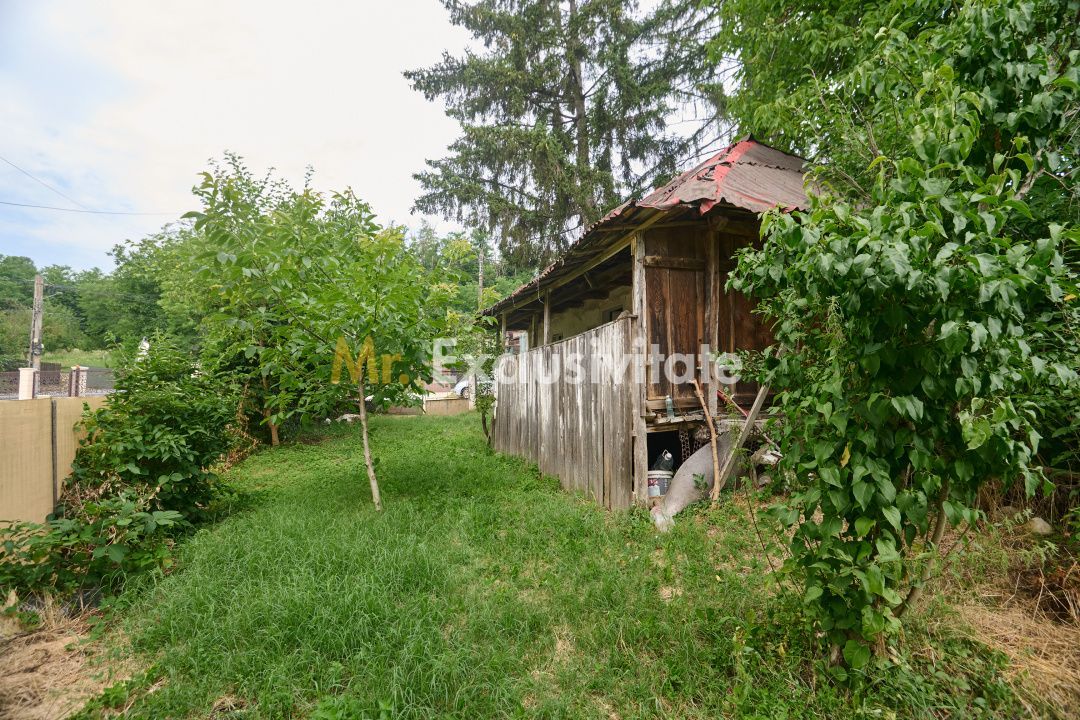 Teren 2240 mp intravilan + casa batraneasca Hintesti-Basangesti - Poză 11