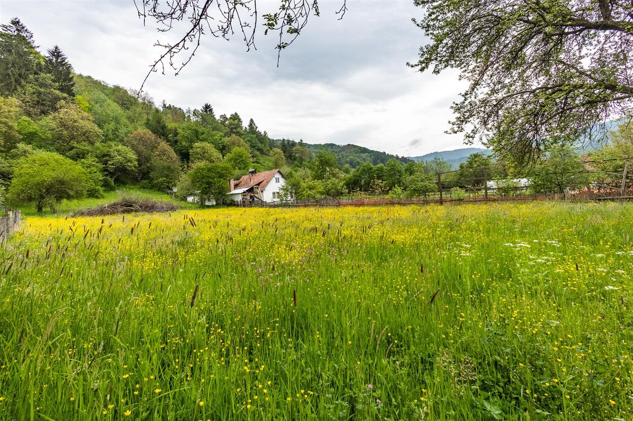 Casa traditionala + 8.500 mp teren, intravilan, Sinca Noua, Brasov - Poză 14